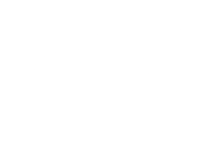 LEH Logo W